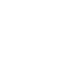 5555 icon