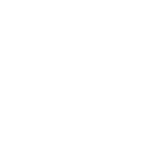5555 icon